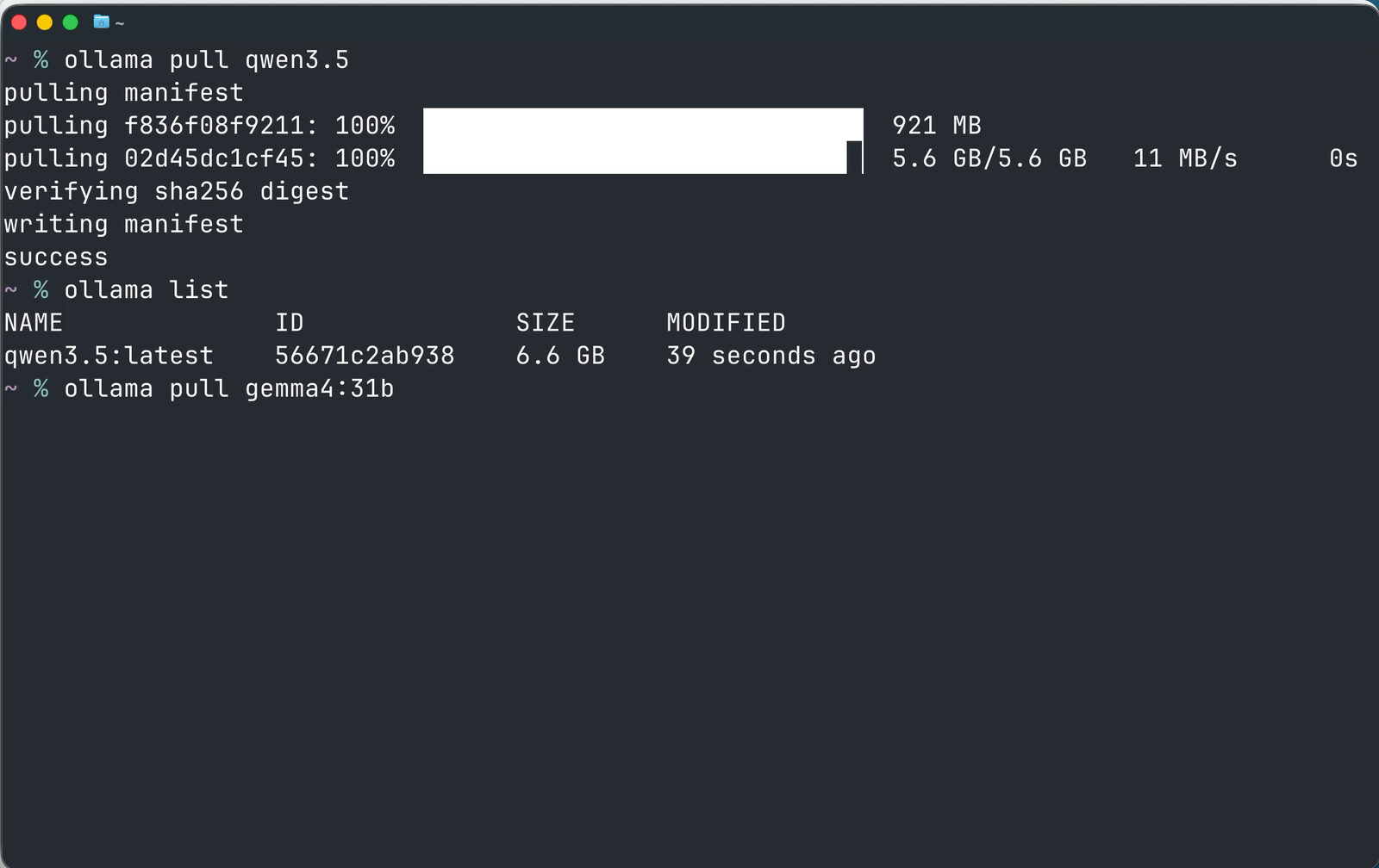 Terminal output of ollama pull and ollama list